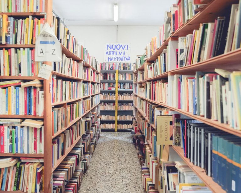 la-pulce-cocquio-area-libri